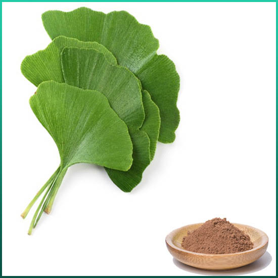 Ginkgo Biloba kivonat